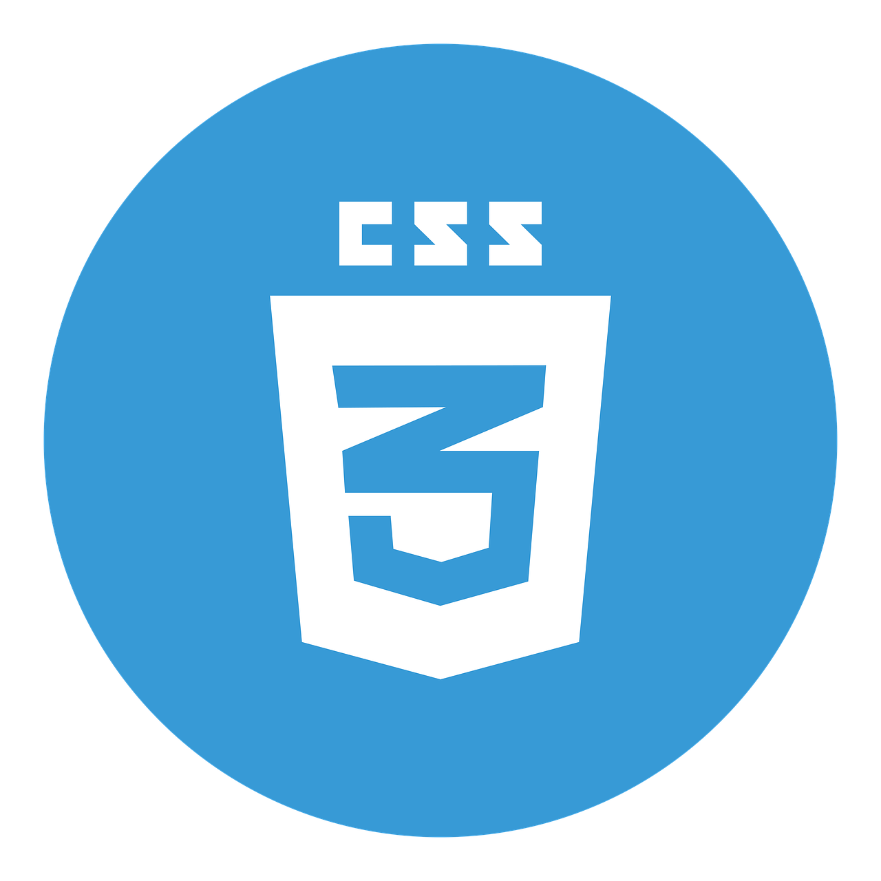 css's Logo